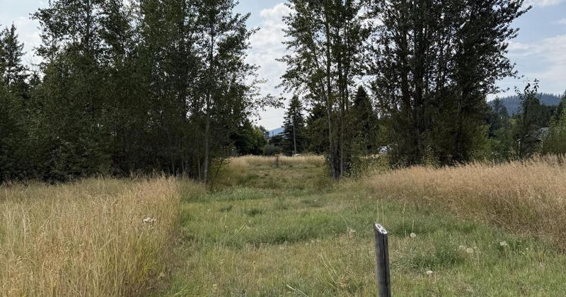 Volunteer steps forward to help maintain Chewelah’s Disc Golf Course
