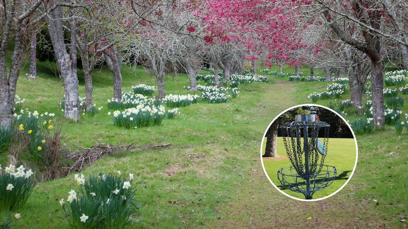 Disc golf battle brews at Rotorua park
