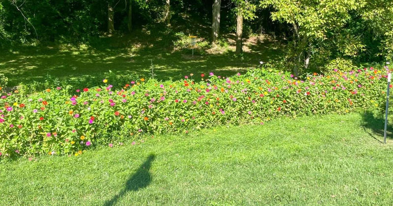 Charlestown installs beginner-friendly disc golf course