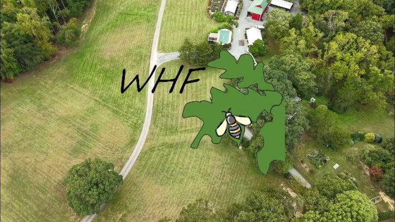 Windy Hill Farm Private Disc Golf Course